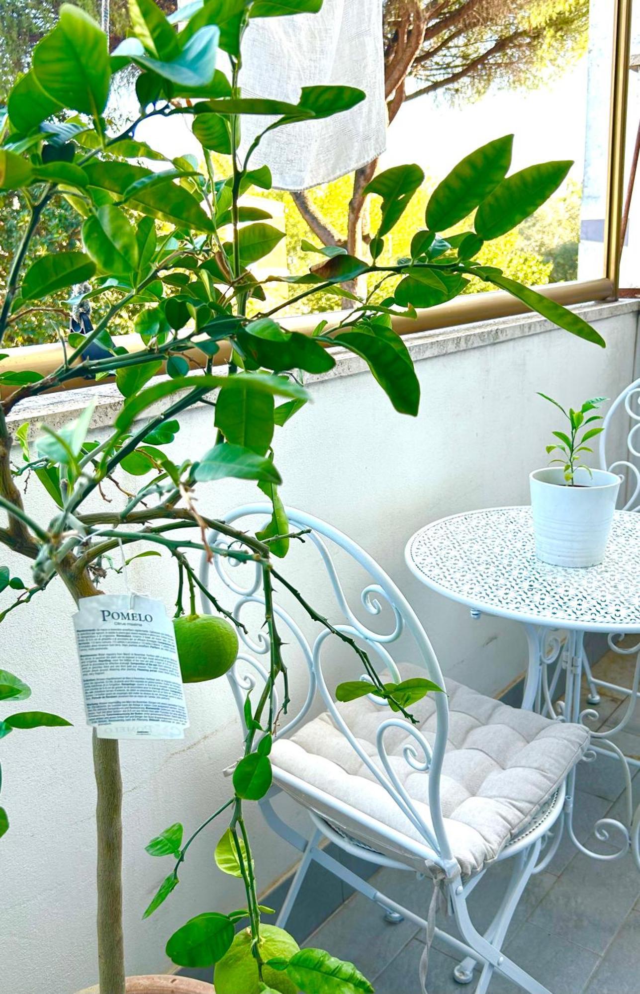 Italian Luxury Apartamento Roma